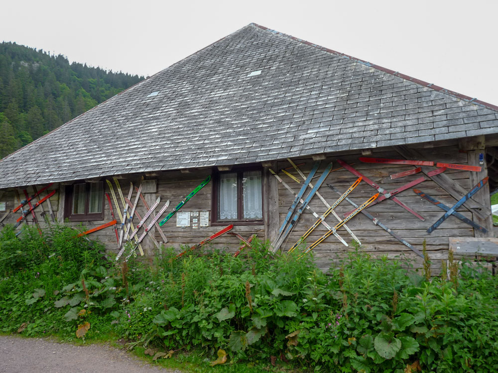 20180615 NF-Feldberg_Sabine-434.jpg