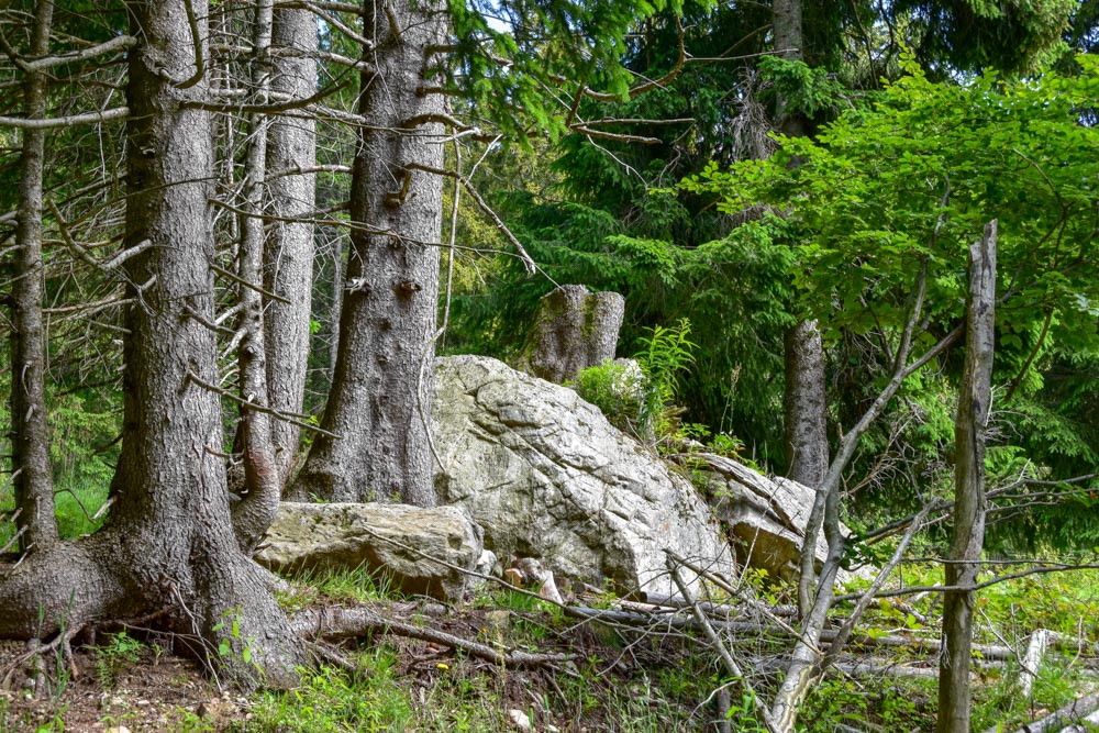 20180615 NF-Feldberg_Sascha-146.jpg