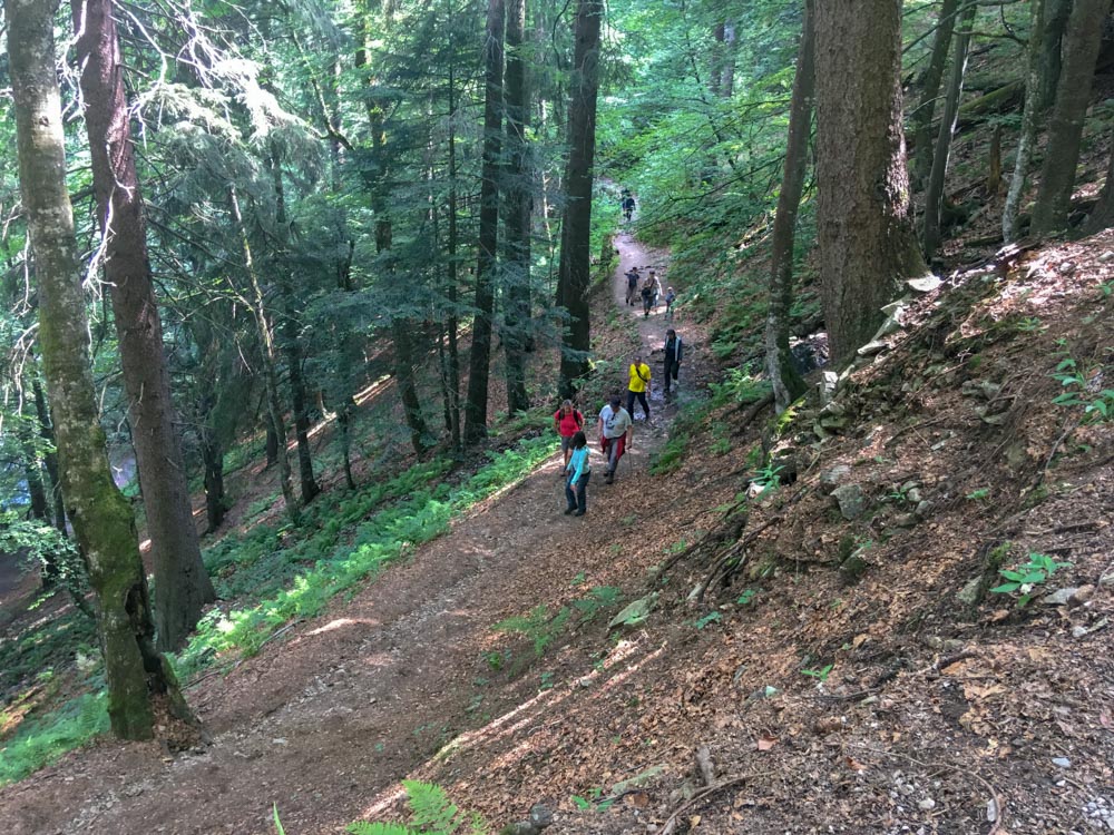 20180615 NF-Feldberg_Sascha-148.jpg