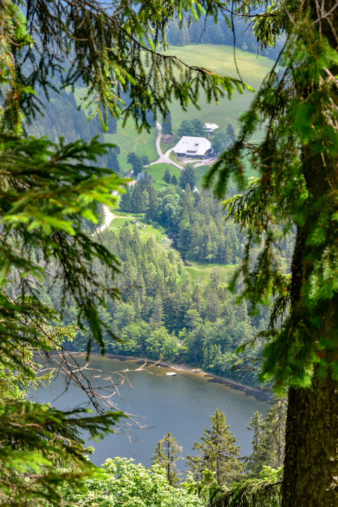 20180615 NF-Feldberg_Sascha-155.jpg