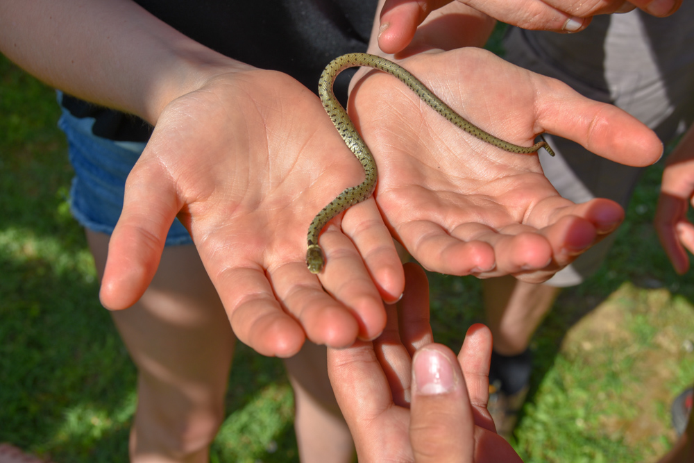 20180525 NF-Ardèche_Sascha-2.jpg
