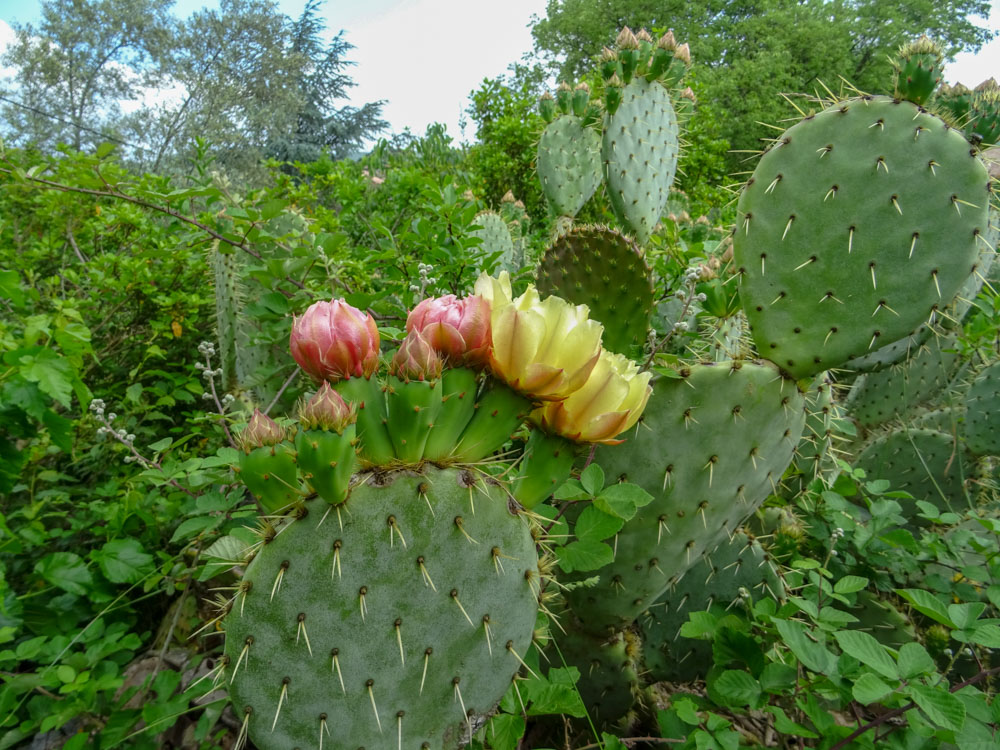 20180525 NF-Ardèche_Sascha-126.jpg