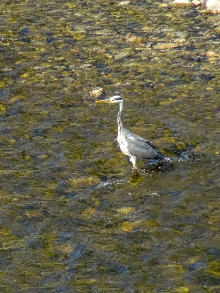20180525 NF-Ardèche_Sascha-128.jpg
