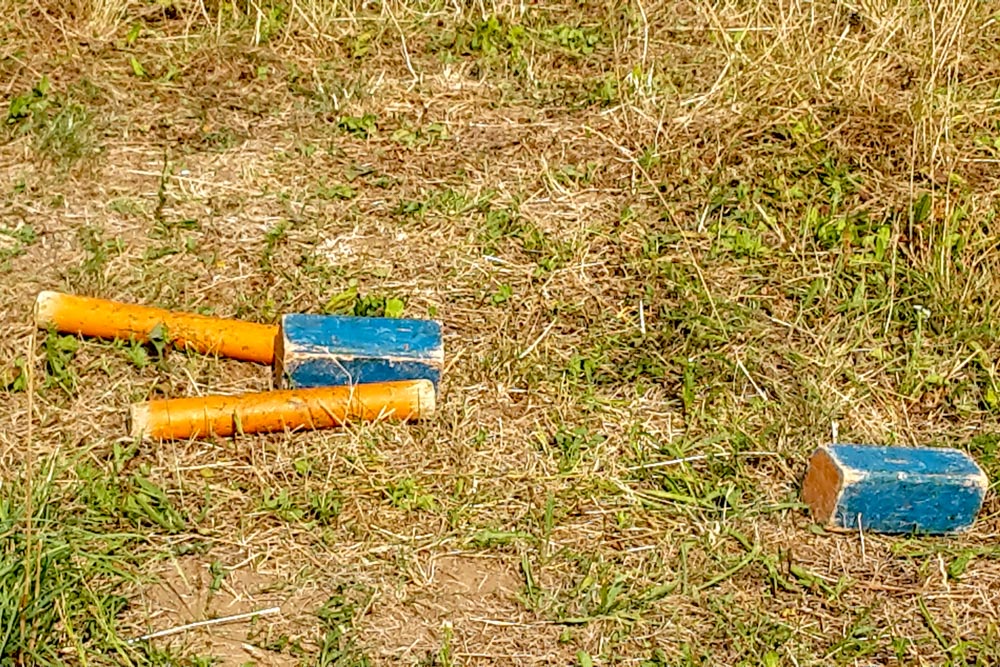 20180713 NF-Füchse_Anke-2.jpg