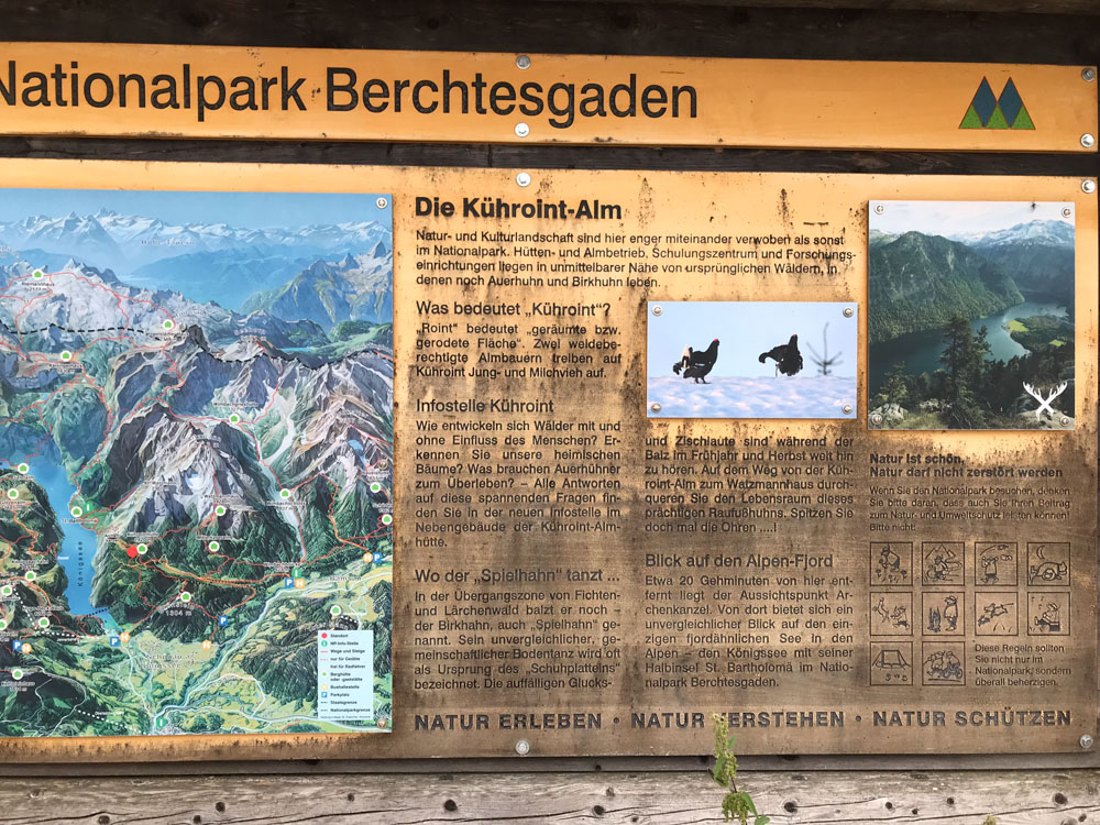 20180802 Hochgebirge_Watzmann_Rafael-64.jpg