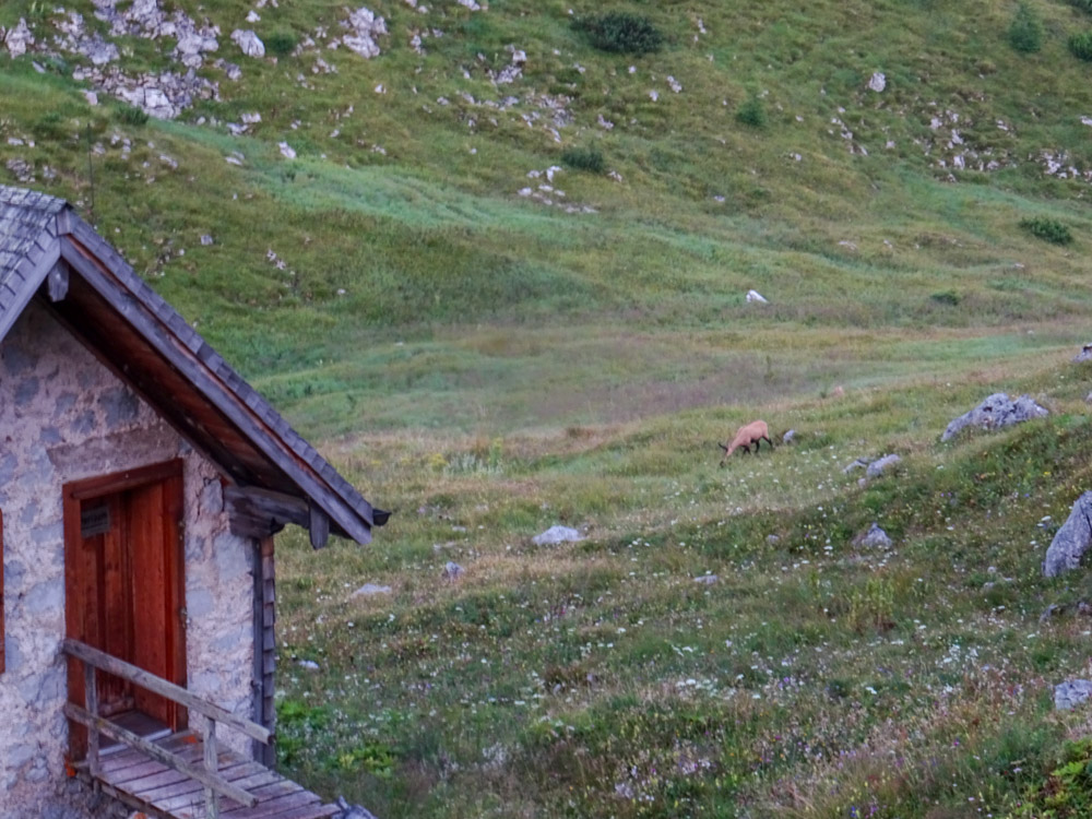 20180802 Hochgebirge_Watzmann_Sascha-216.jpg