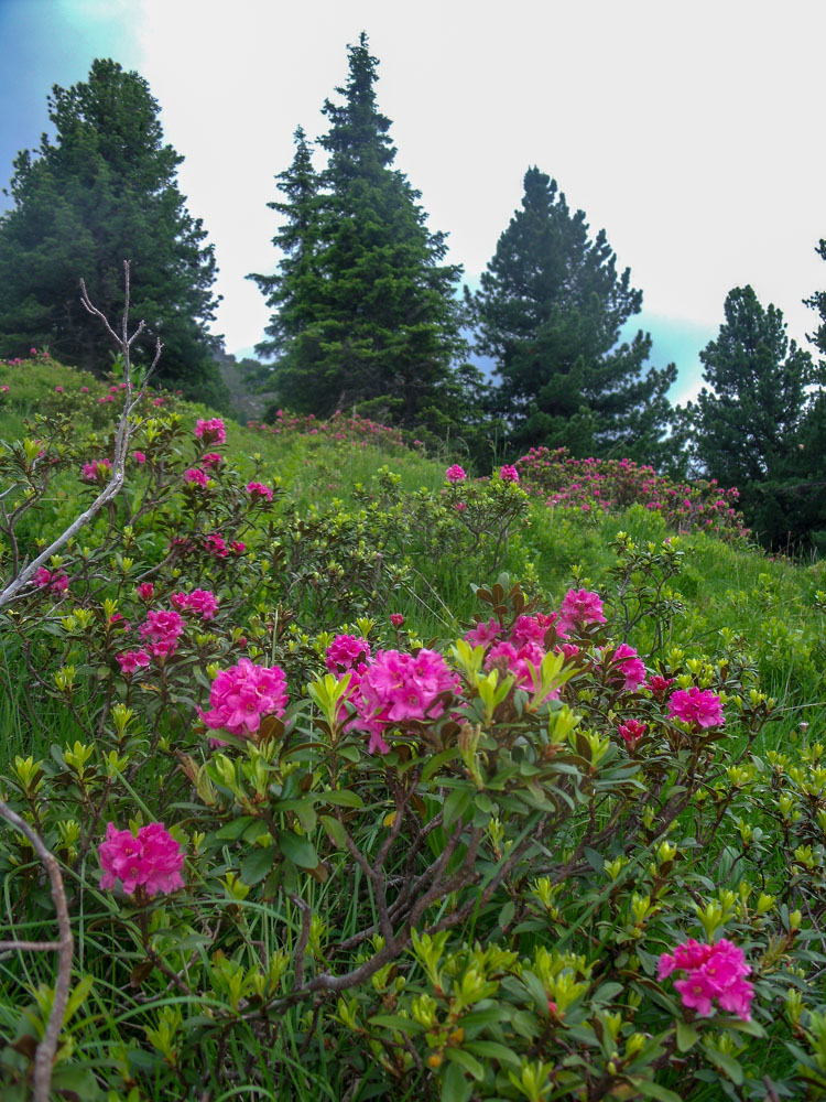 20180830 NF_Dachstein_Christl Vortour-26.jpg