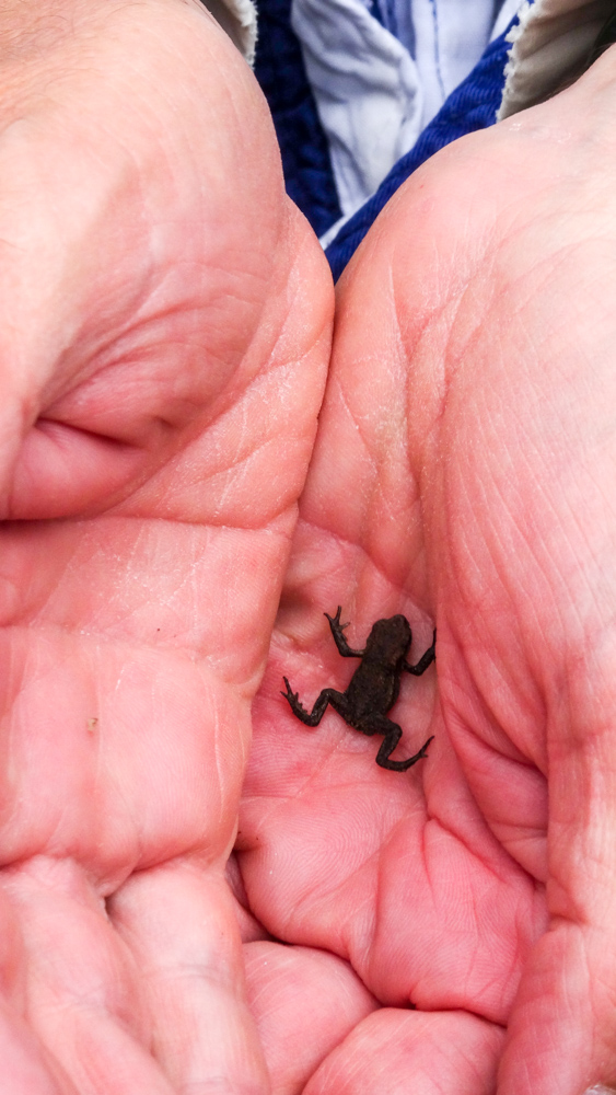 20180830 NF_Dachstein_Heinz-66.jpg