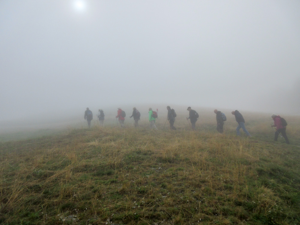 20180830 NF_Dachstein_Hilde-24.jpg