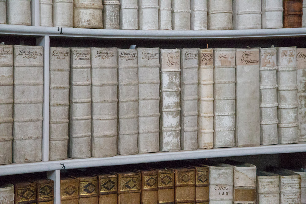 20180830 NF_Dachstein_Karl-131.jpg