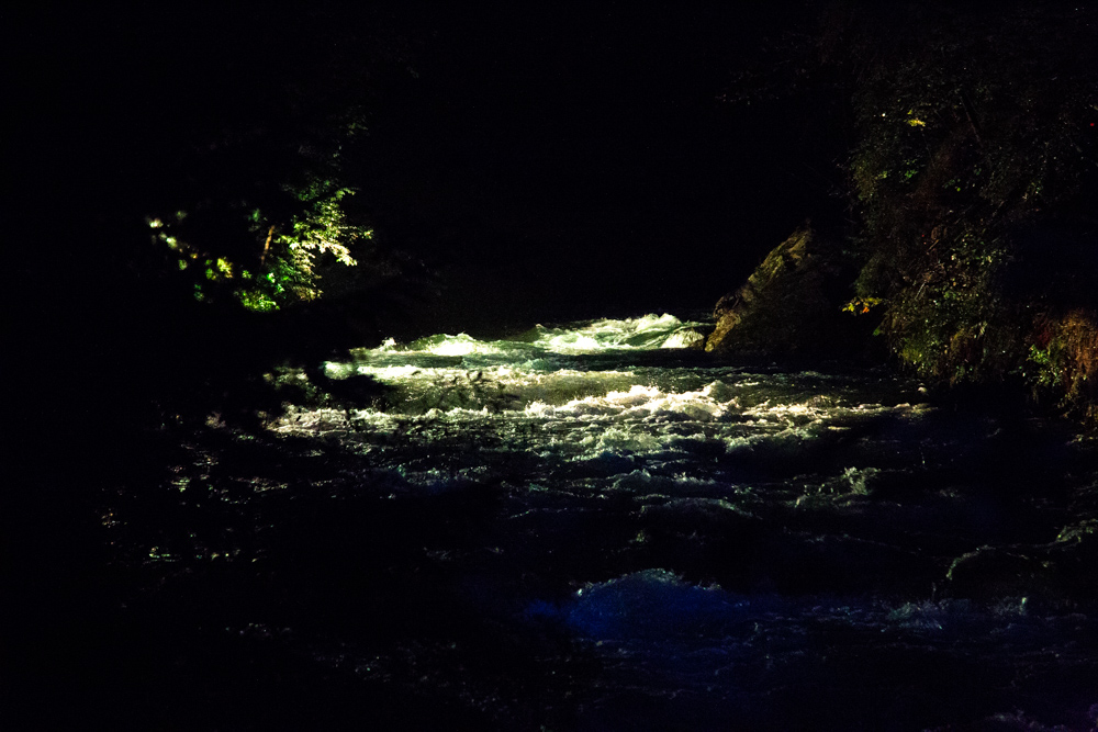 20180830 NF_Dachstein_Karl-231.jpg