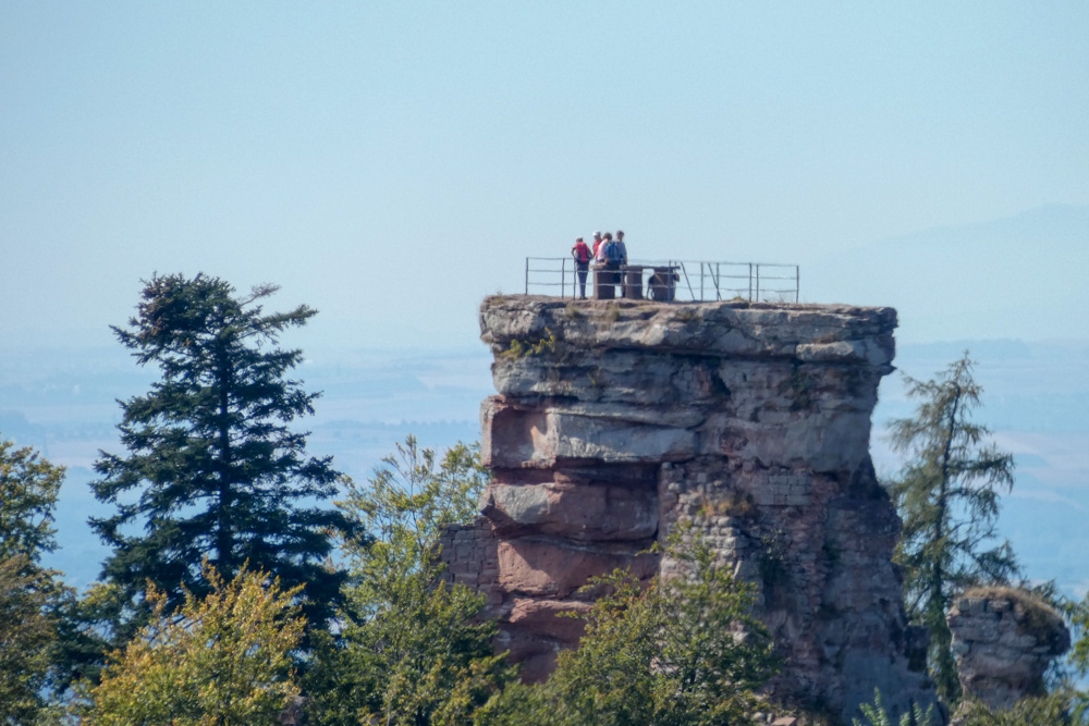 20180909 NF_Vogesenwanderung_Johannes-7.jpg