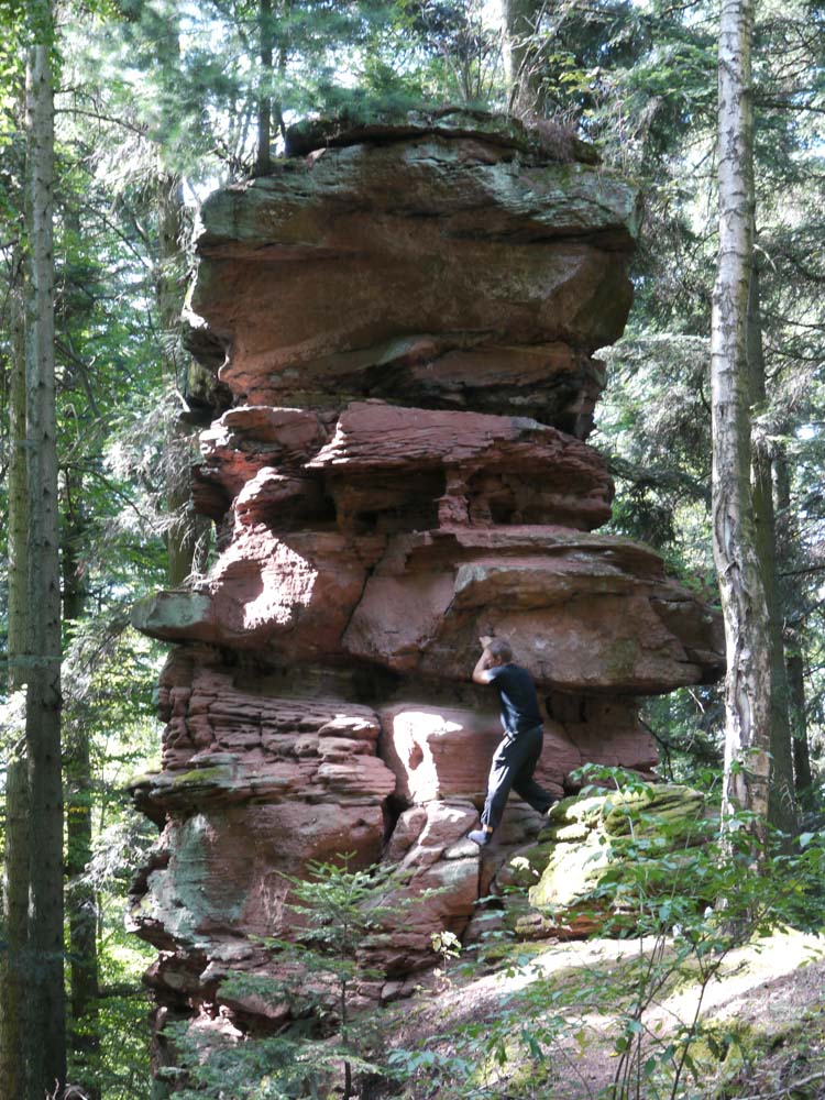 20180909 NF_Vogesenwanderung_Anke-6.jpg