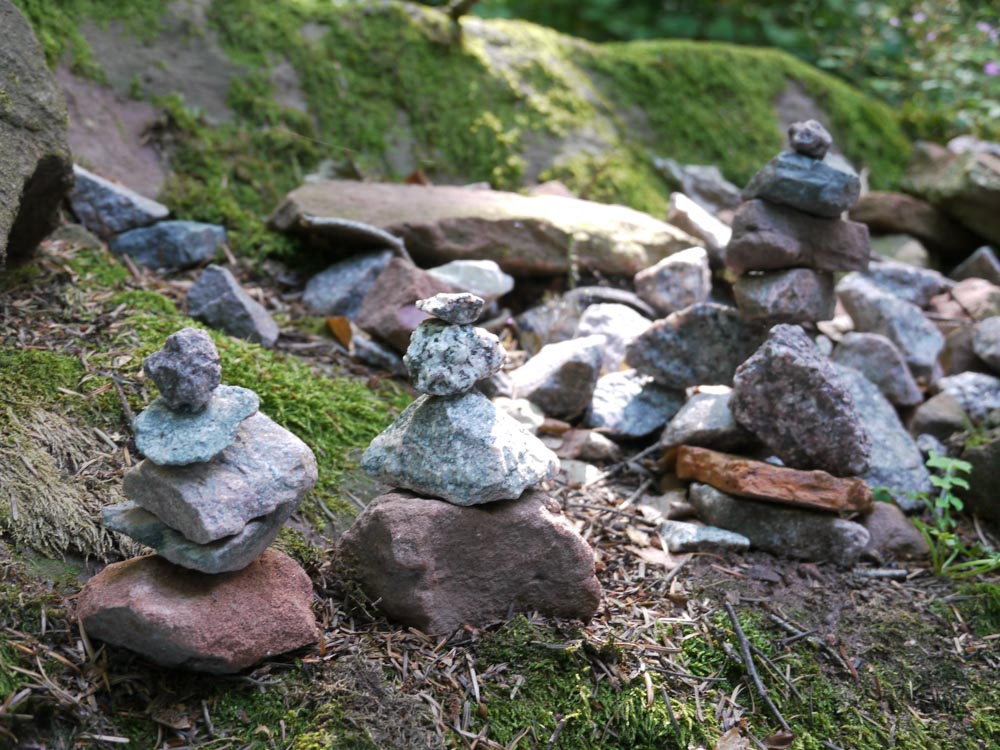 20180909 NF_Vogesenwanderung_Anke-7.jpg