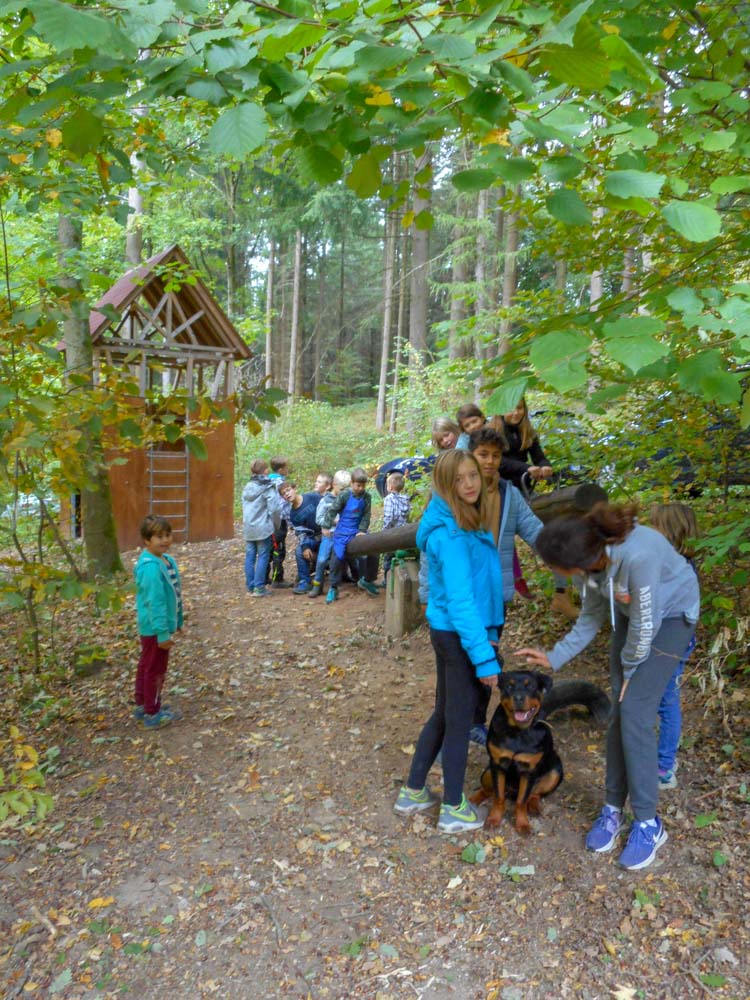 20181003 NF_Goldener Herbst_Anke-15.jpg