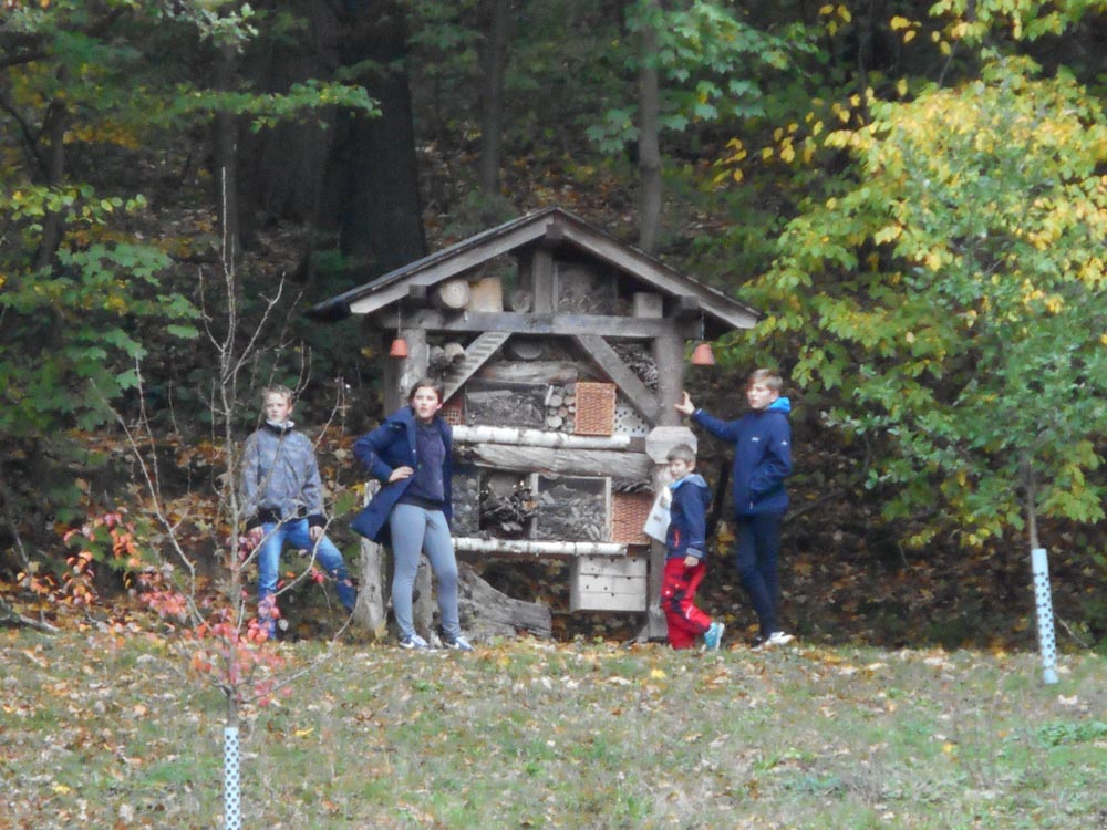 20181027 NF_Kürbisschnitzen_Anke-11.jpg