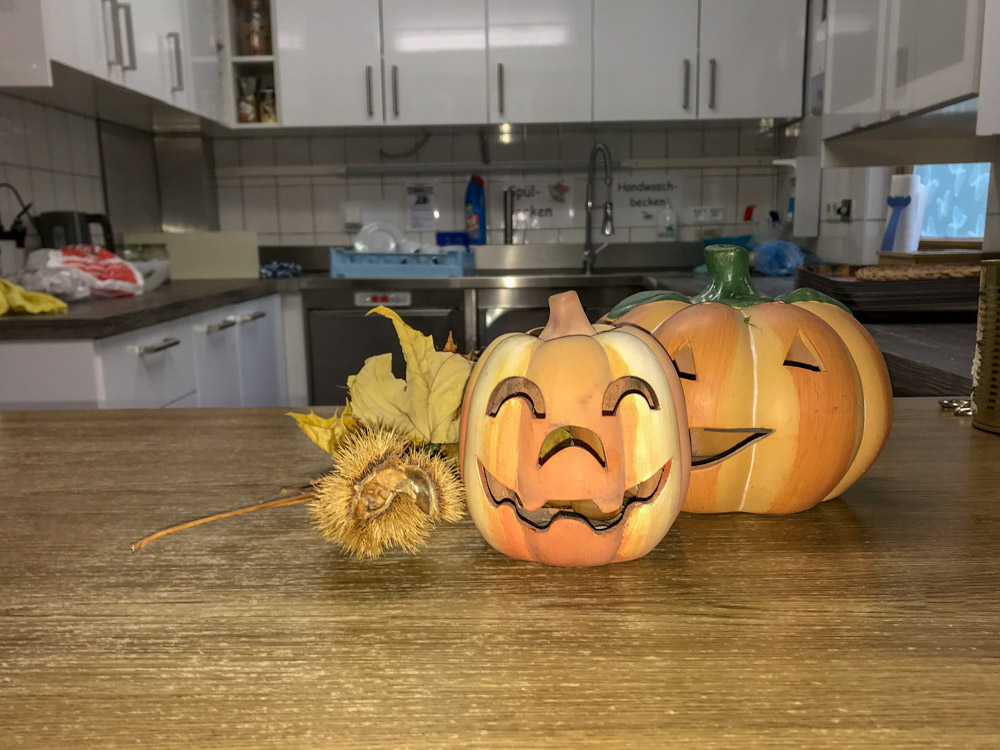 20181110 NF_Arbeitseinsatz_Karl-2.jpg