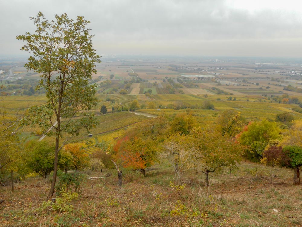 20181101 NF_Letzte Einkehr_Anke-12.jpg