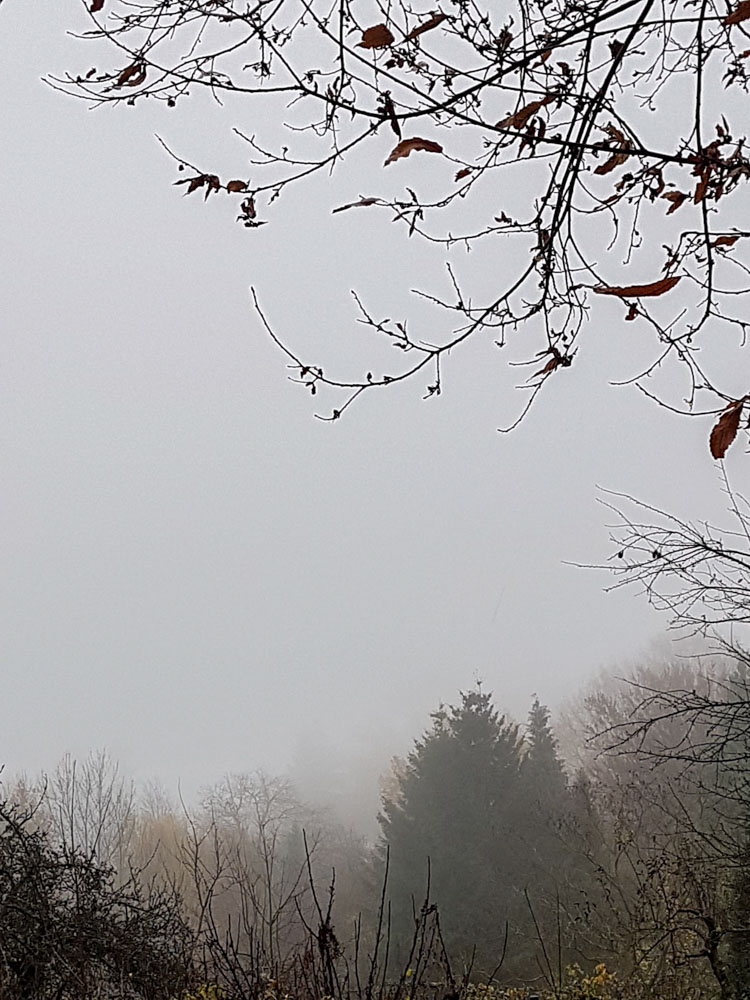 20181202 NF_Tierweihnacht_Sabine-1.jpg