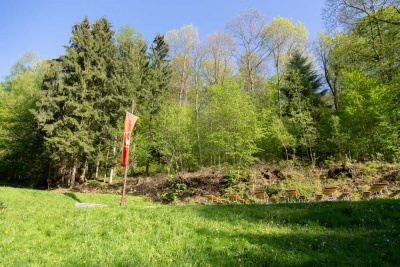 20190430 Maibaum aufstellen_Karl-27.jpg