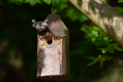 20190501 1. Mai-Feier_Karl-2.jpg