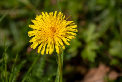 20190501 1. Mai-Feier_Karl-9.jpg