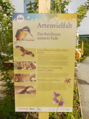 20190519 NF_Buga_Anke-12.jpg