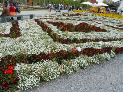 20190519 NF_Buga_Anke-43.jpg