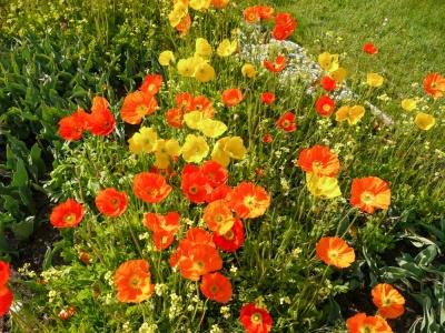 20190519 NF_Buga_Anke-106.jpg