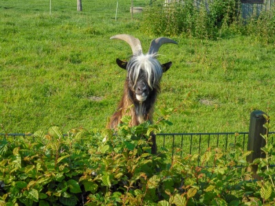 20190531 NF_Paddeln Lippe_Anke-59.jpg