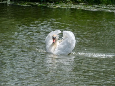 20190531 NF_Paddeln Lippe_Johannes-3.jpg