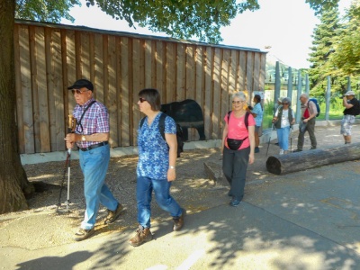 20190623 Wanderung ins Blaue_Anke-2.jpg