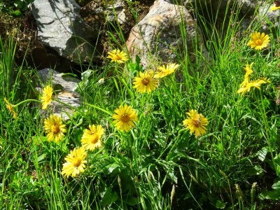 20190805 NF_Verwall_Sascha-47.jpg