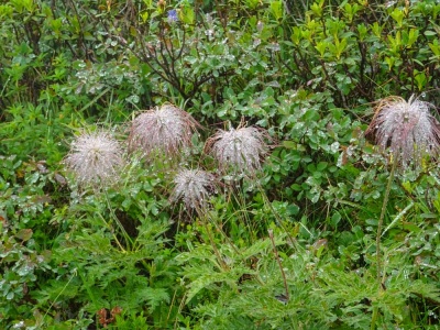 20190805 NF_Verwall_Sascha-146.jpg