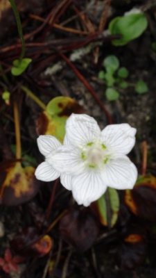 20190905 NF Montafon_Heinz-171.jpg