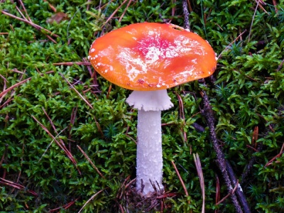20191020 Pfalzwanderung_Peter-17.jpg