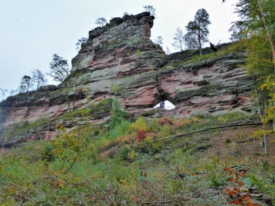 20191020 Pfalzwanderung_Peter-25.jpg