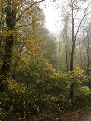 20191109 NF_Arbeitseinsatz_Michael-1.jpg