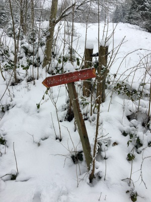 20200222 NF_Winterfreizeit Thalkirchen-23.jpg