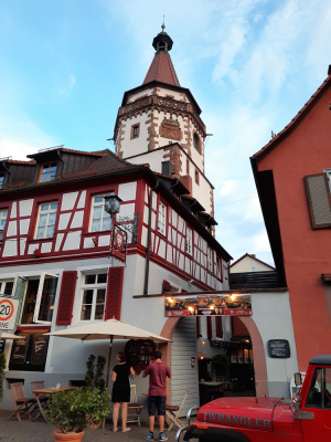 20200731 NF_Paddeln Elsass_Anke-6.jpg