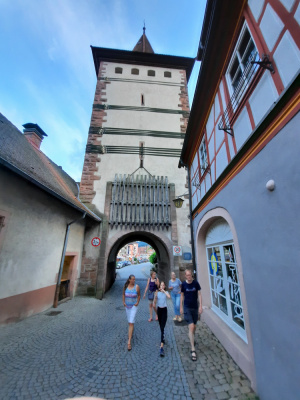 20200731 NF_Paddeln Elsass_Anke-8.jpg