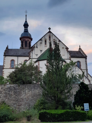 20200731 NF_Paddeln Elsass_Anke-10.jpg
