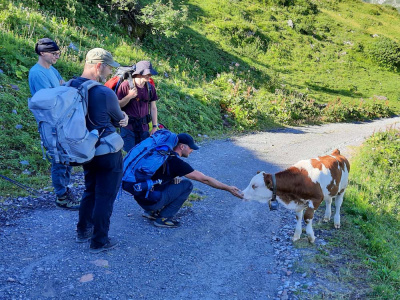 20200806 NF_Lechquellgebirge_Anke-17.jpg