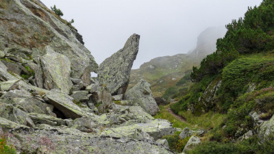 20200827 NF_Montafon_Heinz-67.jpg