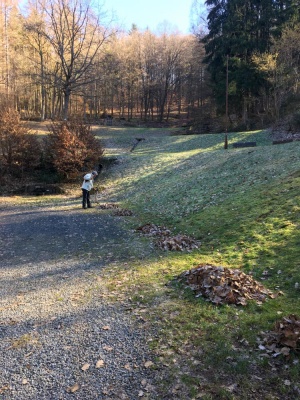 20210306 NF_Kleiner Arbeitseinsatz_Manuela-5.jpg