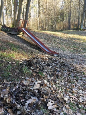 20210306 NF_Kleiner Arbeitseinsatz_Manuela-10.jpg