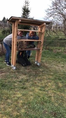 20210320 NF_Bau Insektenhotel-2.jpeg