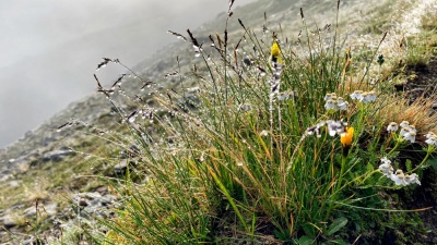 20210805 NF_Ötztal_Michael-87.jpg