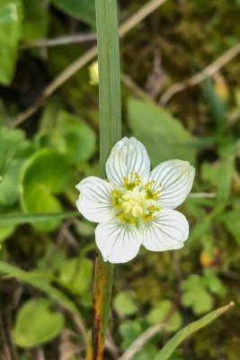 20210819 NF_Montafon_Christine-20.jpg