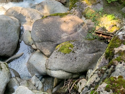 20210819 NF_Montafon_Karl-9.jpg